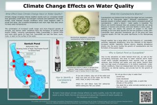 A poster explaining what cyanobacteria is and climate change effects on water quality