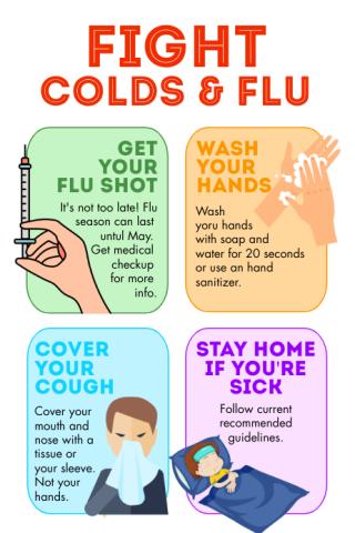 Flu Facts